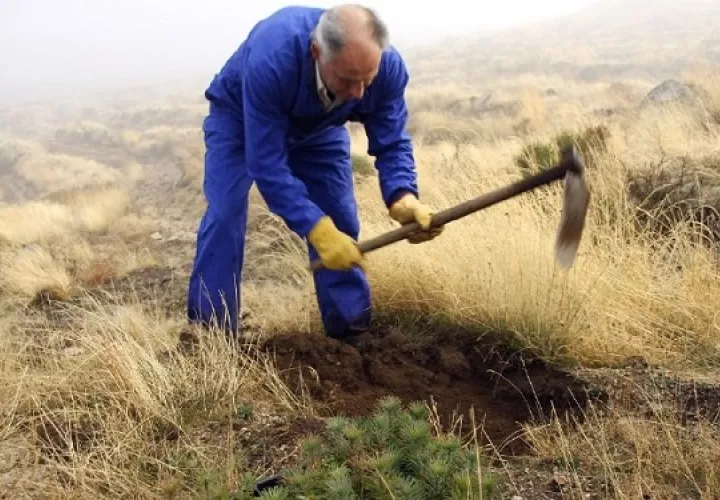 Conservación y equilibrio en los entornos verdes.  Foto: Ilustrativa / Pixabay