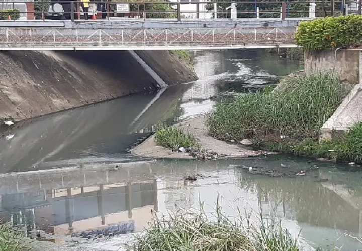 En este punto es donde comenzarían los trabajos para construir el colector que impediría que las aguas servidas lleguen al Matasnillo. Foto: Francisco Paz