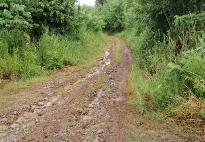 Las malas condiciones del camino también afectan a productores agrícolas, quienes con dificultad pueden trasladar la mercancía hacia los mercados de la zona. Foto: Eric Montenegro