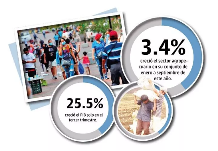 El Inec informó además que en el tercer trimestre del presente año, la economía nacional mostró un incremento de 25.5%, respecto al período similar del año previo.