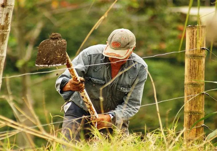 El sector agrícola aporta apenas el 3% del Producto Interno Bruto. Foto: Archivo