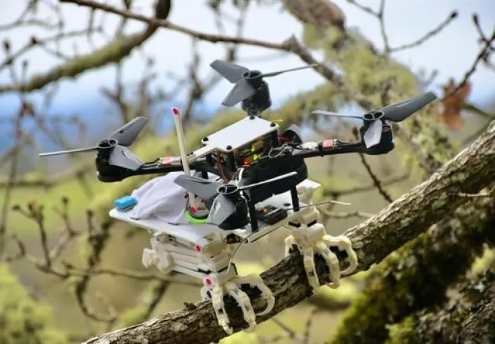 Robot Snag sobre una rama. EFE