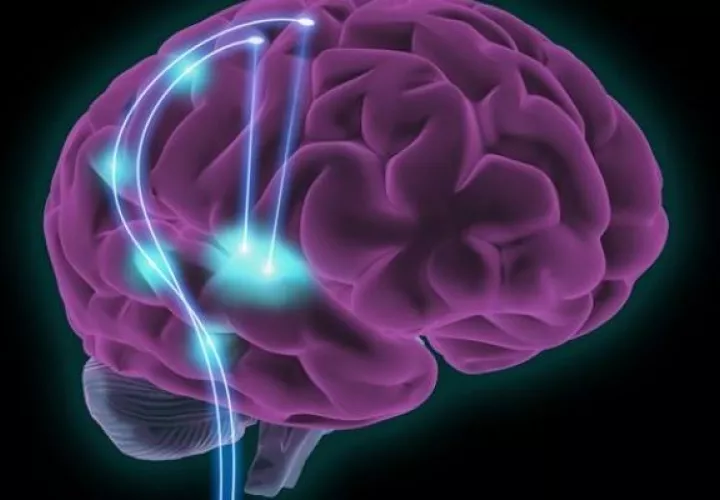Diseño que refleja las sondas neuronales de grafeno y las señales registradas. EFE