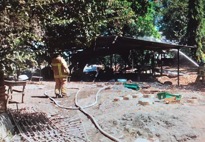 Al llegar los bomberos encontraron parte de la galera incendiada. Foto: Thays Domínguez