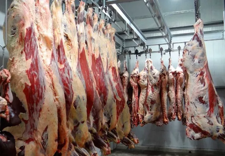 Este proyecto de ley dispone de infracciones como medida de protección al productor nacional, en ellas, el introducir al país canales y cortes de carne de ganado bovino que no cumplan con la presente iniciativa. Foto: Archivo