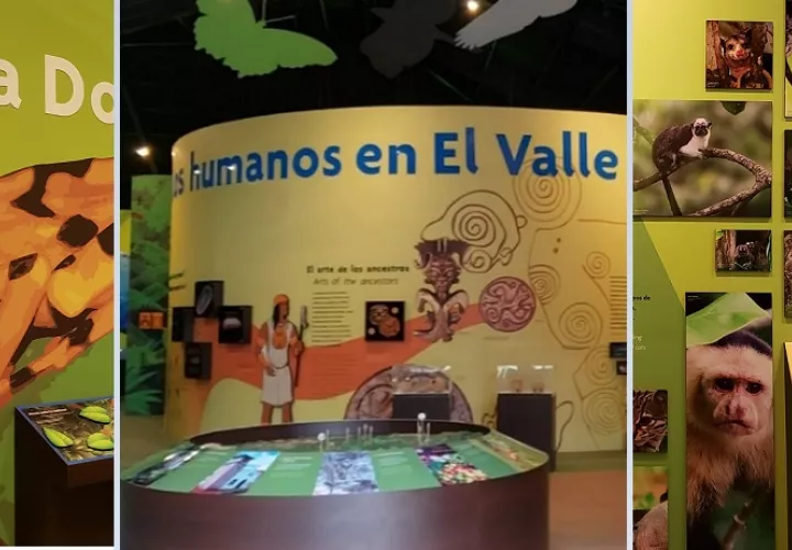 Un lugar de esparcimiento y aprendizaje.  Foto: Fanny Arias