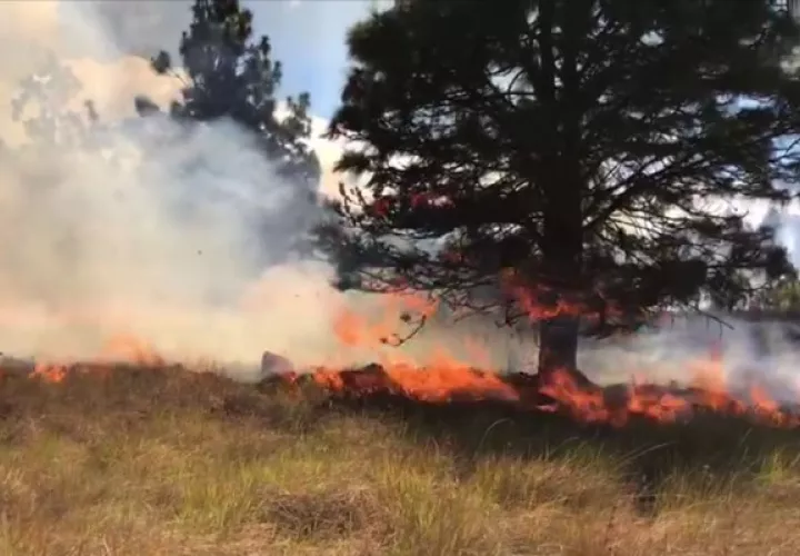 Es importante mencionar que el punto afectado no está dentro del Parque Nacional Volcán Barú y no es consideraba una área protegida. Foto. Mayra Madrid