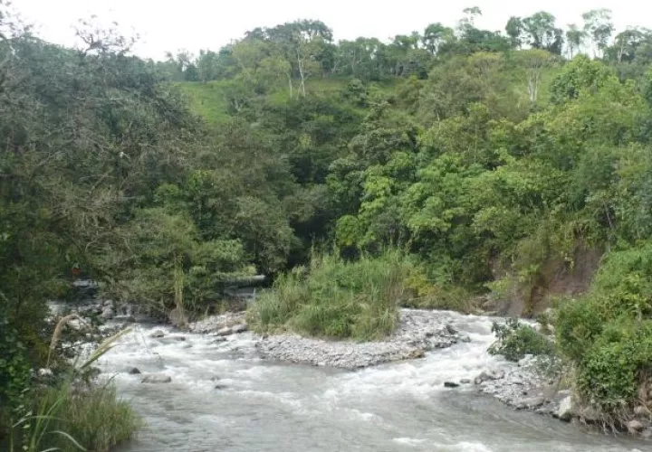 La cuenca hidrográfica del río Chiriquí Viejo se ubica al oeste de Chiriquí, cerca de Costa Rica. Foto: Mayra Madrid 