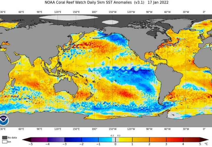 Las anomalías de temperatura cerca del litoral pacífico de Panamá no  son negativas. Foto: Cortesía