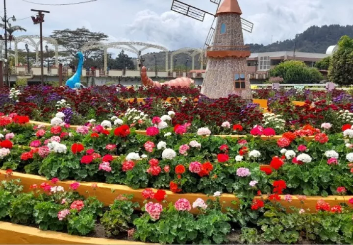 Los más de 23 jardines están en su máxima floración, lo cual es una garantía para que los visitantes puedan disfrutar de la variedad de colores y diseños de los jardines. Foto. José Vásquez