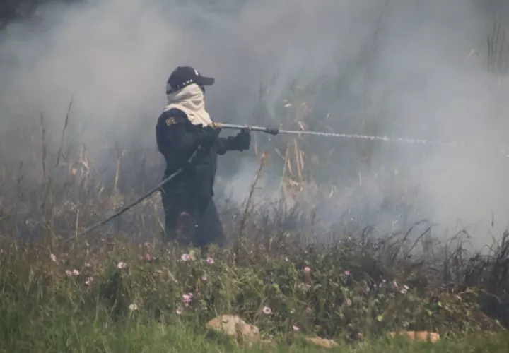 En lo que va de 2022, los bomberos han atendido más de 100 situaciones por incendios de herbazales. Foto: Cortesía Bomberos