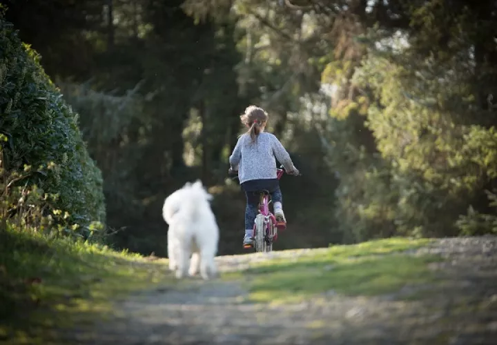 Hay que hacerle exámenes de la vista a niños y adolescentes, periódicamente para prevenir enfermedades.