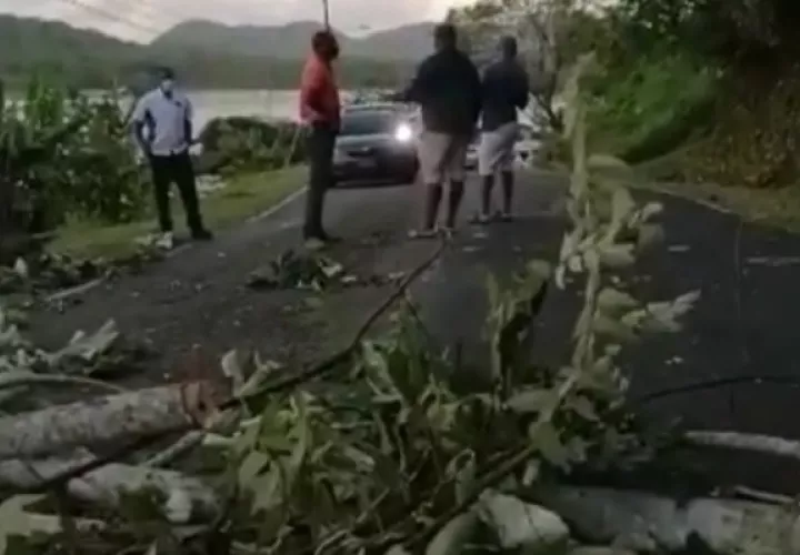 Los moradores colocaron en la entrada de la población histórica, ramas y troncos de árboles, lo que provocó que se paralizara el tráfico vehicular. Foto. Diomedes Sánchez