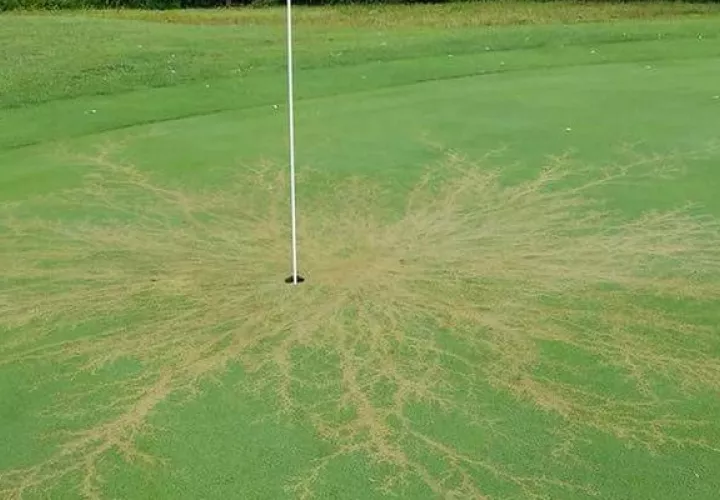 En Estados Unidos los rayos caen con más frecuencia en los campos de golf. Foto ilustrativa