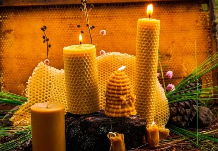 Las  velas de cera de abeja neutralizan los olores y purifican el aire. Foto: Cortesía Luz Primitiva