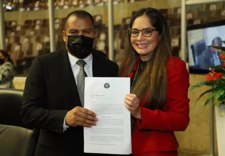 La diputada presentó el anteproyecto en la sesión de este martes, 4 de enero. Foto: Cortesía Asamblea Nacional