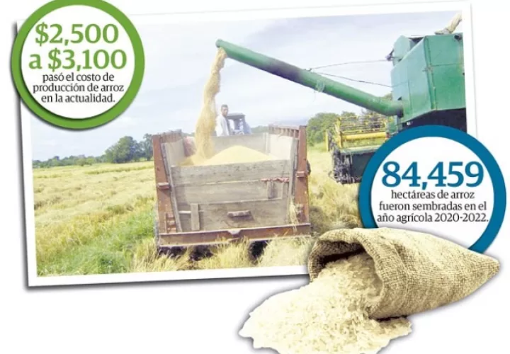 Panamá recibe de Estados Unidos a través del Tratado de Promoción Comercial (TPC) 148,987 quintales de arroz pilado de arroz y otros 279,345 quintales de arroz en cáscara.