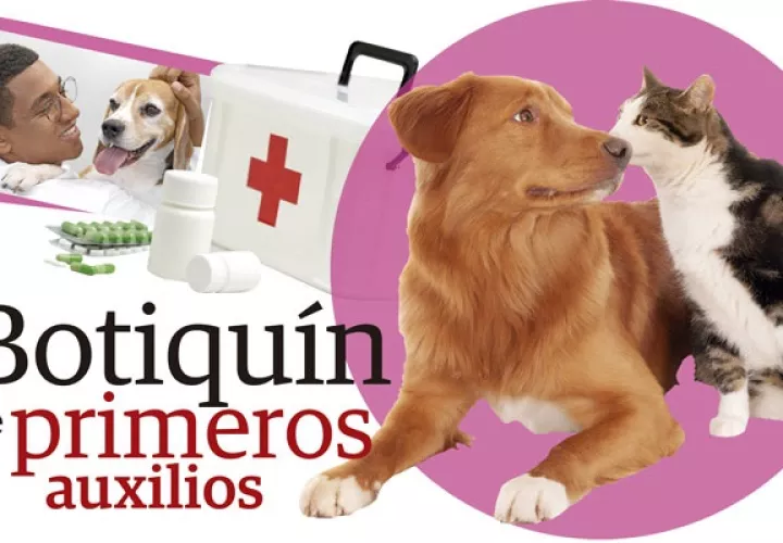 El botiquín debe tener medicamentos básicos necesarios para cualquier emergencia. Foto: Jim Coronado
