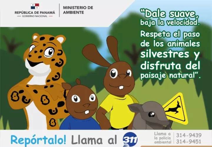 La campaña también instruye sobre los pasos a seguir en caso de animales heridos en las carreteras. Foto: Cortesía MiAmbiente