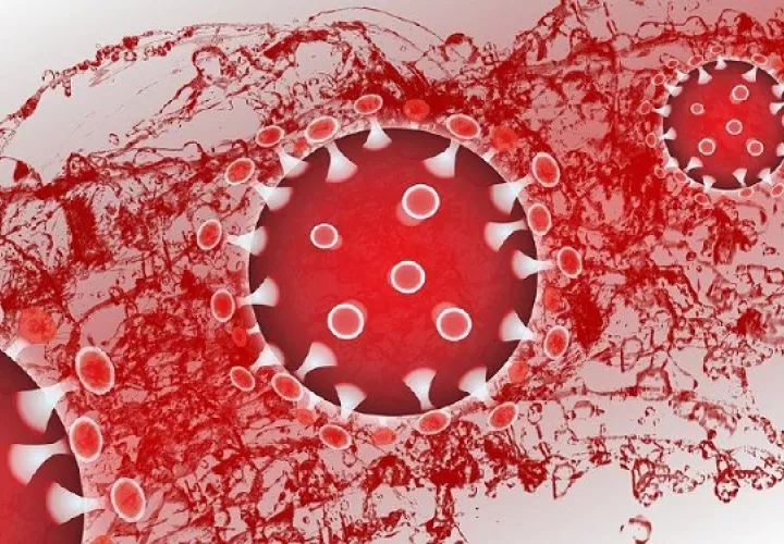 El cáncer de la sangre es la tercera causa de muerte por cáncer.  Foto: Ilustrativa / Pixabay