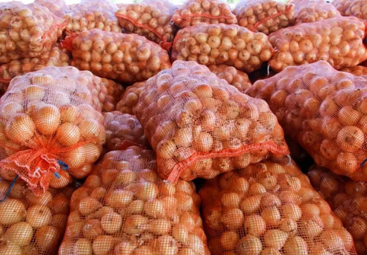 La mayor producción de este rubro se realiza en las provincias de Chiriquí, Coclé, Herrera y Los Santos, y en este último ciclo agrícola se obtuvo un aumento. Foto: Cortesía