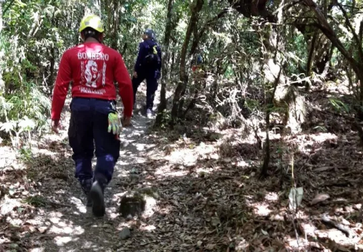 En la búsqueda participan unidades de los bomberos, ONG SAR Panamá en coordinación con guardaparques de MiAmbiente y la Policía Nacional. Foto. Mayra Madrid