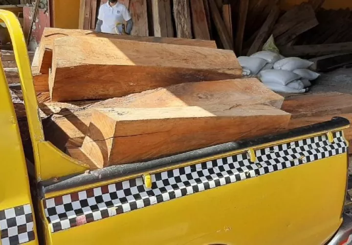 En lo que va del año, en Chiriquí, solo se reportan dos casos de retención de madera debido al traslado sin los permisos correspondientes. Foto. Mayra Madrid