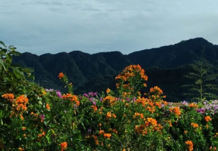 Los turistas prefieren hacer turismos en áreas abiertas y Chiriquí tiene muchas oportunidades para este tipo de actividades. Foto. José Vásquez