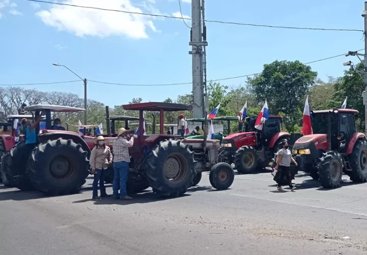 Los productores protestaron con tractores y camiones por las calles de David. Foto Cortesía