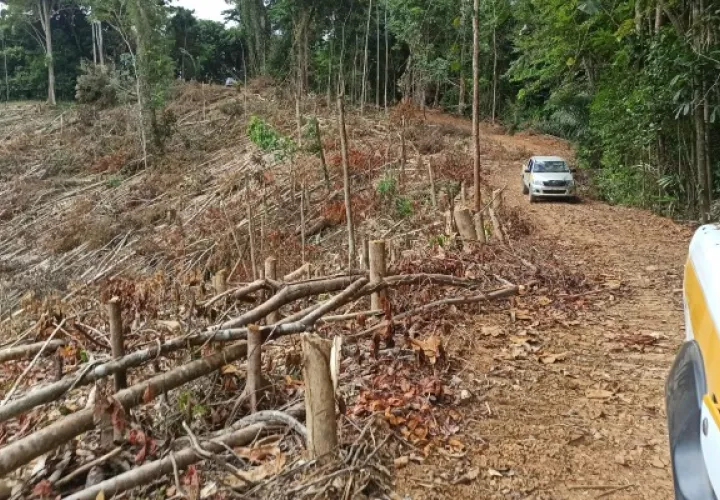 Fue notorio el movimiento de tierra como también, el corte de un camino ilegal de tres kilómetros aproximadamente. Foto. Cortesía MiAmbiente