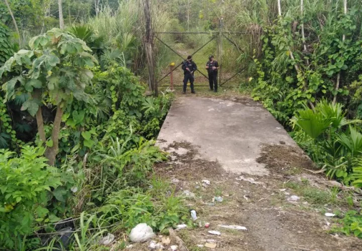 El hallazgo se dio en una finca en el sector conocido como Altos de la Gloria,. Foto. Diomedes Sánchez