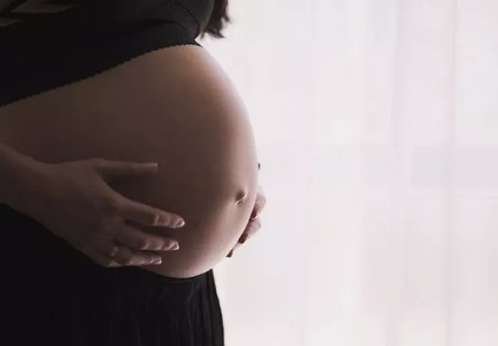 Algunas mujeres retrasan su momento de ser madres.  Foto: Ilustrativa / Pixabay