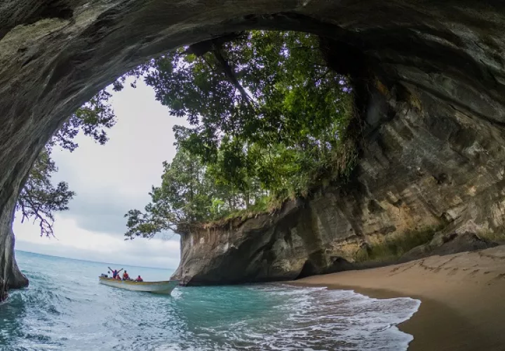 La isla Escudo de Veraguas posee varias especies únicas en el planeta, de ahí su importancia. Cortesía: Mi Ambiente