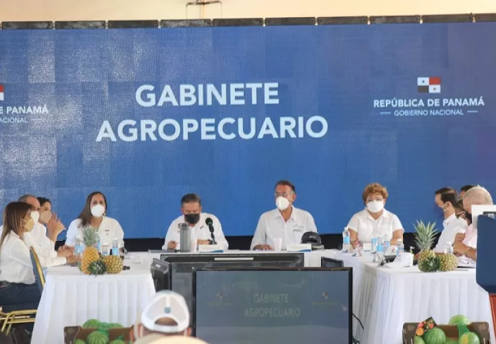 El Gabinete Agropecuario ha tramitado al menos 6 leyes y más de una decena de Resoluciones que benefician al sector agropecuario. Foto: Cortesía