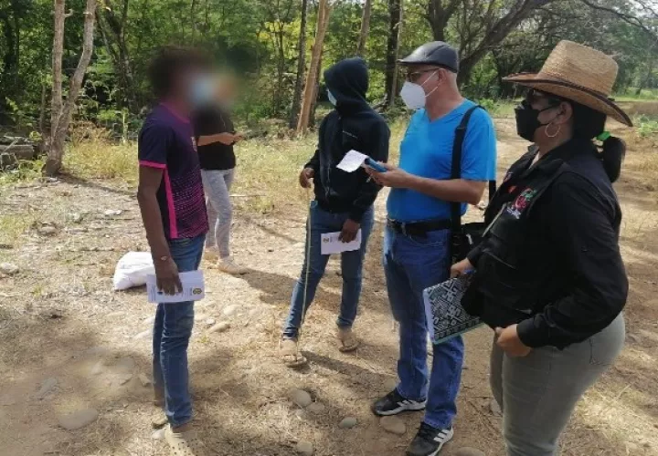 De reiterarse la contratación de menores se procederá a sancionar a los propietarios de las fincas por incumplimiento a la ley que prohíbe la contratación de menores en actividades agrícolas. Foto. José Vásquez