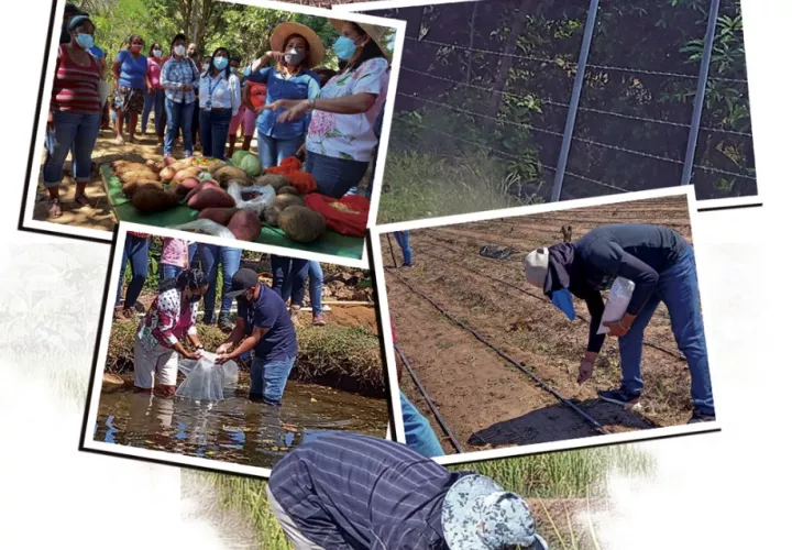huacas-quije_0.jpg