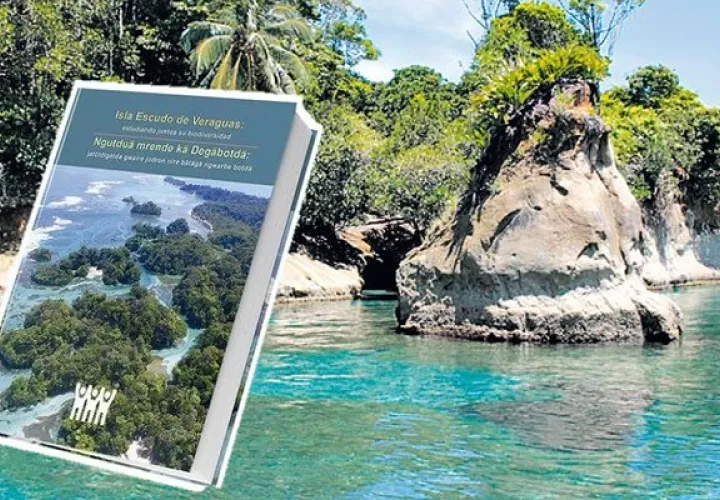 En la isla  Escudo de Veraguas se tiene conocimiento de la existencia de al menos  nueve especies endémicas. Foto: Grupo Epasa