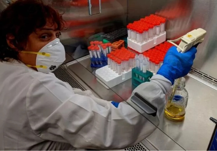 Panamá investiga el uso de radiación de microondas para combatir la malaria. Foto: Cortesía