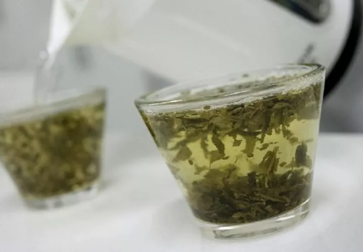 La infusión de la manzanilla tiene capacidad para curar calambres en el tracto gastrointestinal. Foto: Robin Townsend