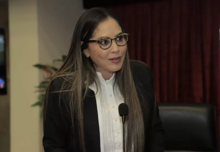 Rodríguez presentó su propuesta el pasado 2 de febrero. Foto: Cortesía Asamblea