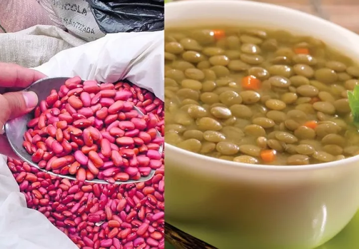 Una persona sana puede consumir menestras todos los días. Foto: Grupo Epasa 