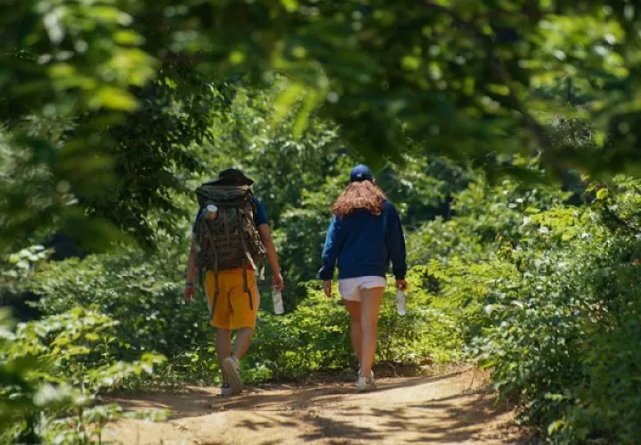 Caminata en el bosque. Foto: Ilustrativa / Pixabay
