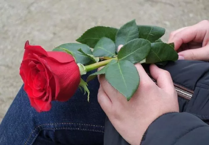 Aun en la soltería se puede disfrutar del Día de los Enamorados.  Pixabay