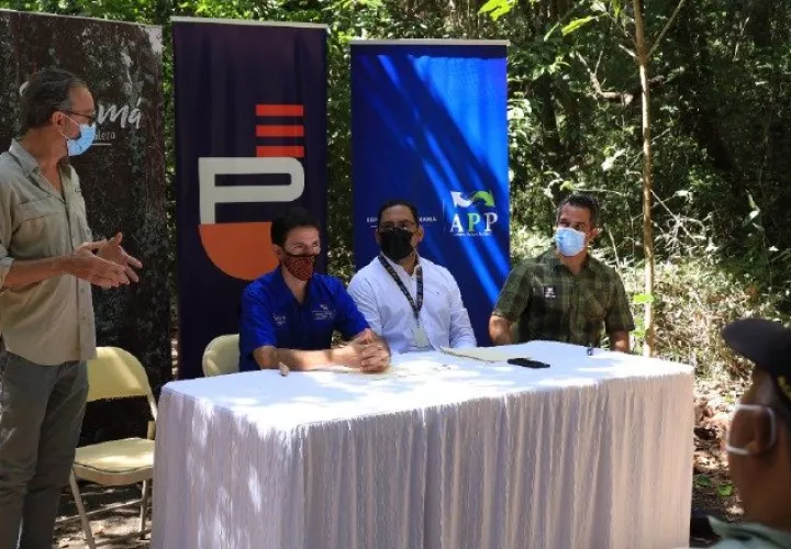 Los organizadores del evento dieron detalles del Trillo Titi. Foto:EFE 
