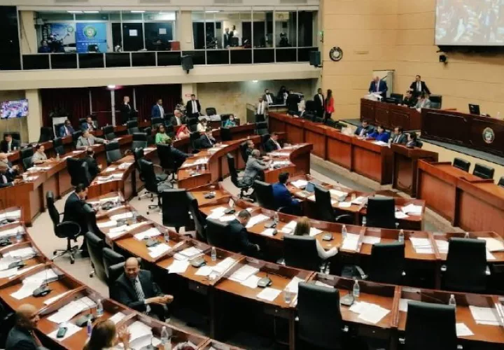 La Constitución en su artículo 154 indica que los diputados no son responsables por sus vottos y opiniones en el ejercicio de sus funciones. Archivo.