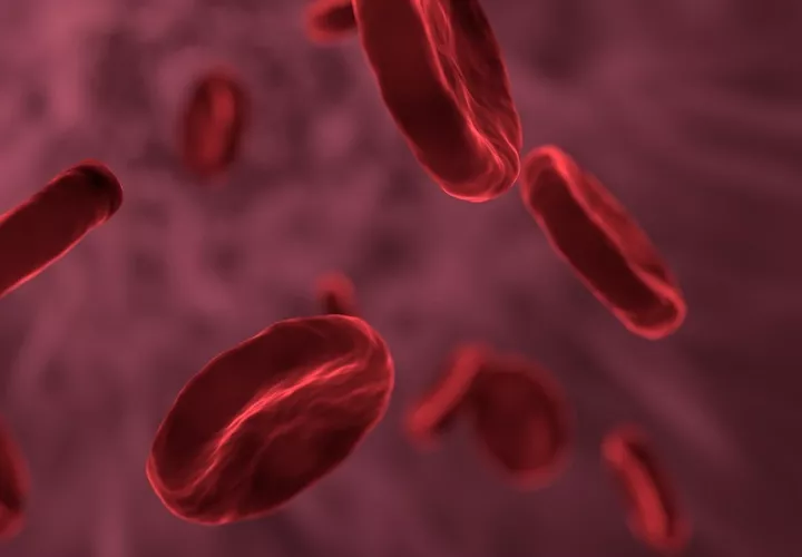 El cáncer de sangre sigue siendo la tercera causa de muerte por cáncer en Panamá. Foto: Pixabay/Ilustrativa
