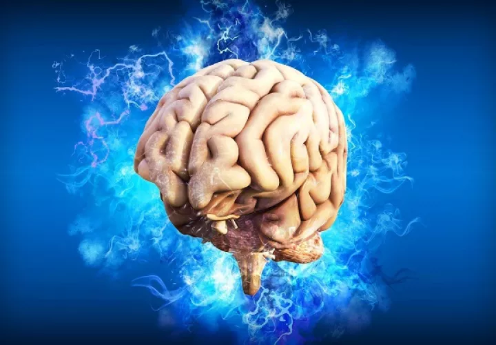 Los  expertos no saben si los cambios en el cerebro son permanentes. Foto: Pixabay