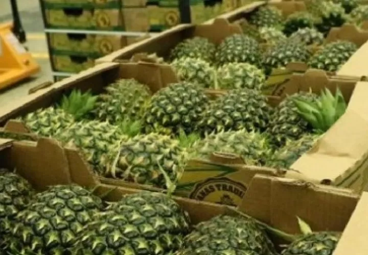 El alto costo de producción y la fuerte competencia de otros países como Brasil son otros de los elementos que está incidiendo en la caída de las exportaciones de frutas. Archivo