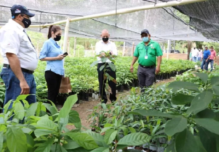 Se planifican varios proyectos en materia ambiental. Foto. Thays Domínguez