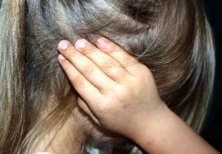 Trastornos depresivos, conducta bipolar, intento de suicidio, problemas relacionados al duelo y retraso mental, principales atenciones en paidosiquiatría de la Caja de Seguro Social. Foto: Pixabay